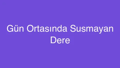 Gün Ortasında Susmayan Dere