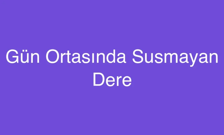 Gün Ortasında Susmayan Dere