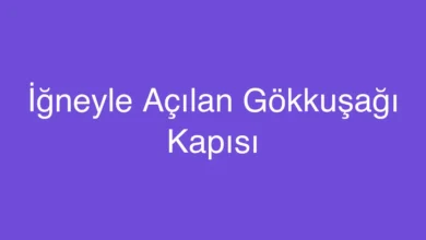 İğneyle Açılan Gökkuşağı Kapısı