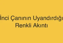 İnci Çanının Uyandırdığı Renkli Akıntı