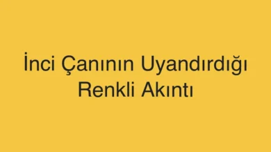 İnci Çanının Uyandırdığı Renkli Akıntı