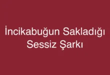 İncikabuğun Sakladığı Sessiz Şarkı