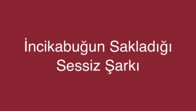 İncikabuğun Sakladığı Sessiz Şarkı