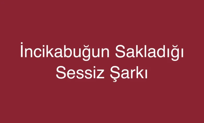 İncikabuğun Sakladığı Sessiz Şarkı