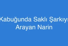 Kabuğunda Saklı Şarkıyı Arayan Narin