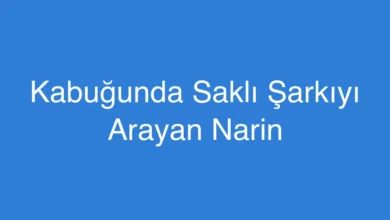 Kabuğunda Saklı Şarkıyı Arayan Narin