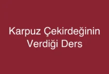 Karpuz Çekirdeğinin Verdiği Ders