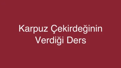 Karpuz Çekirdeğinin Verdiği Ders