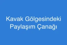 Kavak Gölgesindeki Paylaşım Çanağı
