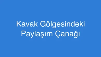 Kavak Gölgesindeki Paylaşım Çanağı