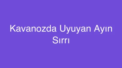 Kavanozda Uyuyan Ayın Sırrı