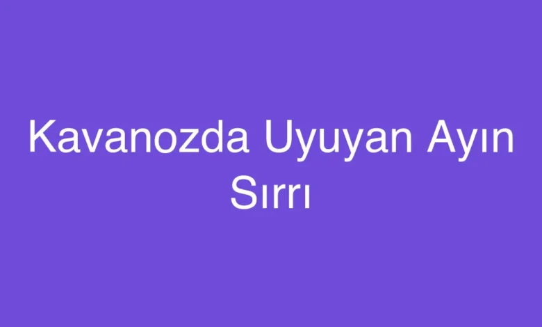 Kavanozda Uyuyan Ayın Sırrı