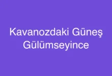 Kavanozdaki Güneş Gülümseyince