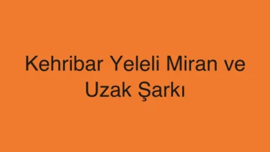 Kehribar Yeleli Miran ve Uzak Şarkı