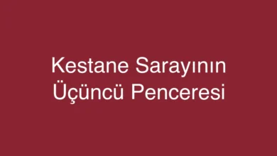 Kestane Sarayının Üçüncü Penceresi