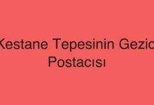 Kestane Tepesinin Gezici Postacısı