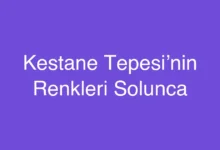 Kestane Tepesi’nin Renkleri Solunca