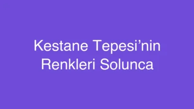 Kestane Tepesi’nin Renkleri Solunca