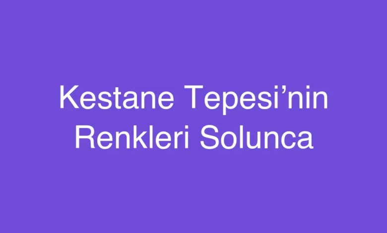 Kestane Tepesi’nin Renkleri Solunca
