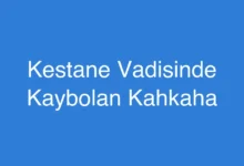 Kestane Vadisinde Kaybolan Kahkaha