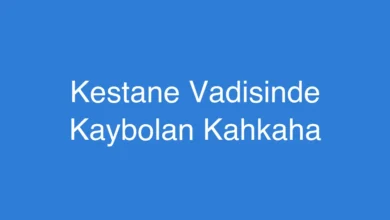 Kestane Vadisinde Kaybolan Kahkaha