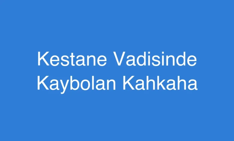 Kestane Vadisinde Kaybolan Kahkaha
