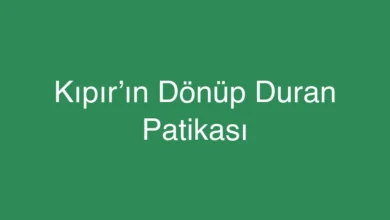 Kıpır’ın Dönüp Duran Patikası