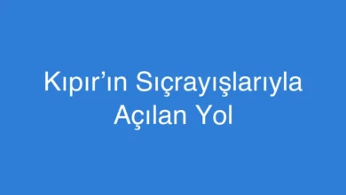 Kıpır’ın Sıçrayışlarıyla Açılan Yol