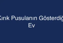 Kırık Pusulanın Gösterdiği Ev