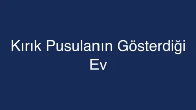 Kırık Pusulanın Gösterdiği Ev