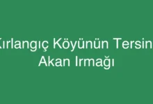 Kırlangıç Köyünün Tersine Akan Irmağı