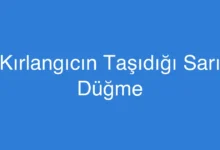 Kırlangıcın Taşıdığı Sarı Düğme