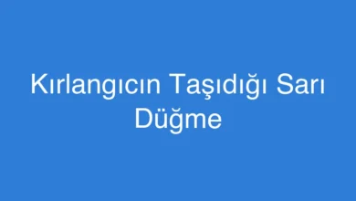 Kırlangıcın Taşıdığı Sarı Düğme