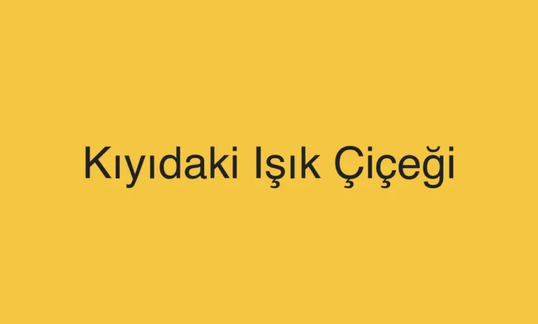 Kıyıdaki Işık Çiçeği