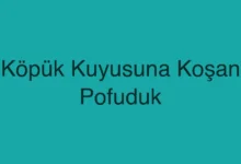 Köpük Kuyusuna Koşan Pofuduk