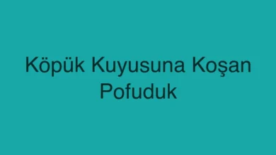 Köpük Kuyusuna Koşan Pofuduk