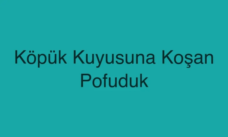 Köpük Kuyusuna Koşan Pofuduk