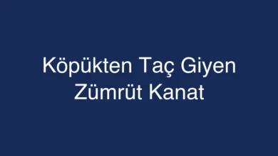 Köpükten Taç Giyen Zümrüt Kanat