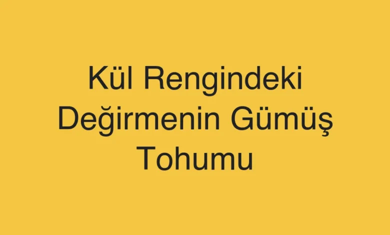 Kül Rengindeki Değirmenin Gümüş Tohumu