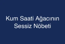 Kum Saati Ağacının Sessiz Nöbeti