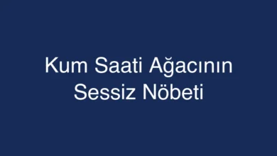 Kum Saati Ağacının Sessiz Nöbeti