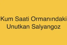 Kum Saati Ormanındaki Unutkan Salyangoz