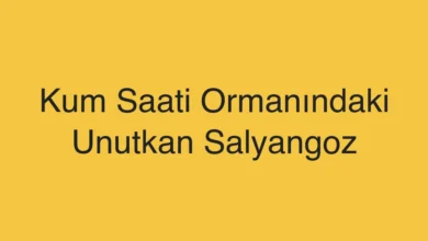 Kum Saati Ormanındaki Unutkan Salyangoz