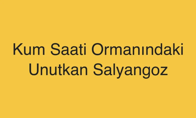 Kum Saati Ormanındaki Unutkan Salyangoz