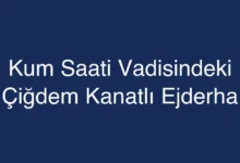 Kum Saati Vadisindeki Çiğdem Kanatlı Ejderha