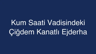 Kum Saati Vadisindeki Çiğdem Kanatlı Ejderha