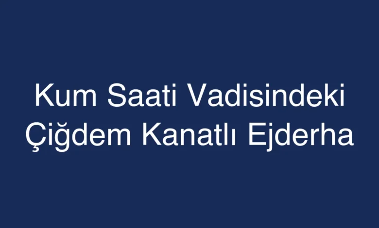 Kum Saati Vadisindeki Çiğdem Kanatlı Ejderha