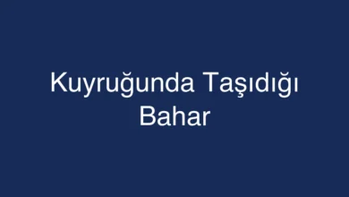 Kuyruğunda Taşıdığı Bahar