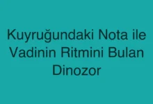 Kuyruğundaki Nota ile Vadinin Ritmini Bulan Dinozor
