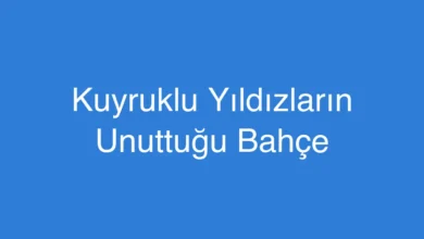 Kuyruklu Yıldızların Unuttuğu Bahçe